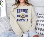 Vintage City Baseball Sweatshirt