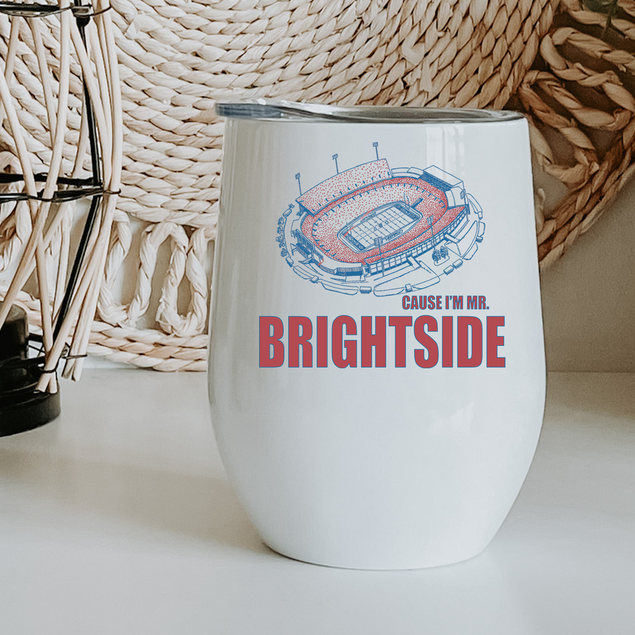 Mr. Brightside Buffalo Stadium Wine Tumbler